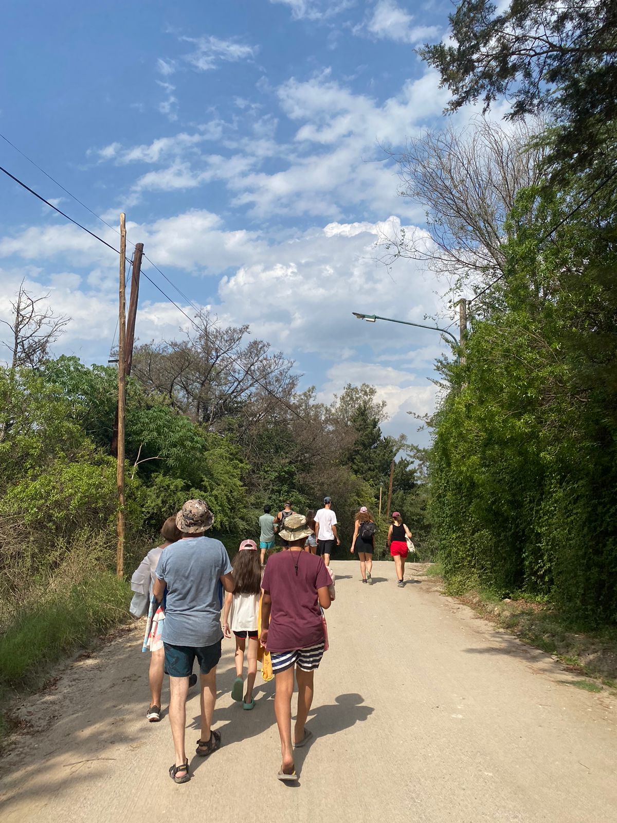 Ecolink. Un grupo de personas caminando por un sendero rodeado de árboles y vegetación bajo un cielo azul con nubes. La escena refleja un paseo al aire libre relajado y en conexión con la naturaleza.