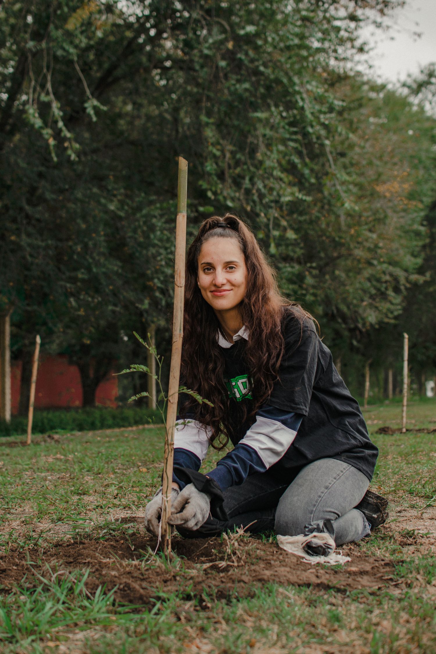 compesamos el impacto del cosquin rock - EcoLink